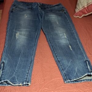 Stylish Blue Ankle-Length Women's Jeans